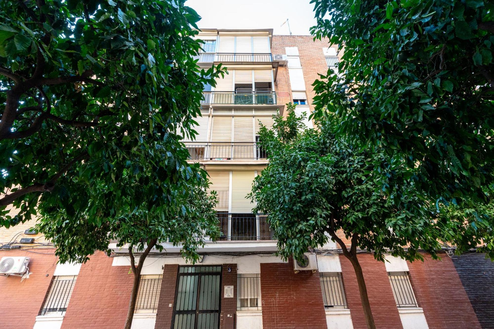 Piso Elegante Y Nuevo De 3 Habitaciones Y 2 Banos Seville Exterior photo