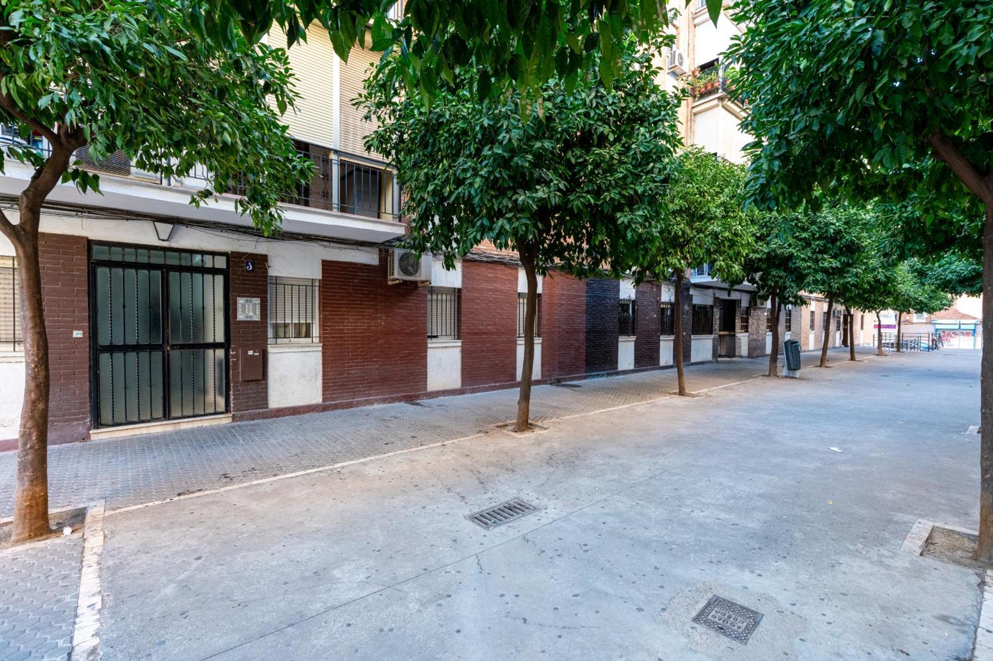 Piso Elegante Y Nuevo De 3 Habitaciones Y 2 Banos Seville Exterior photo